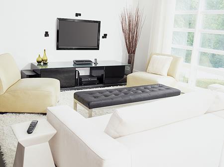 Living room setup