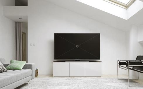 Salamander Designs Chameleon Miami 237