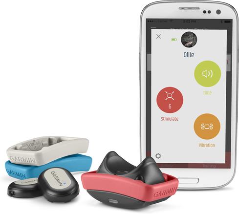 Use the Garmin Delta Smart bundle with the free Garmin Canine app to train your dog and track his fitness.