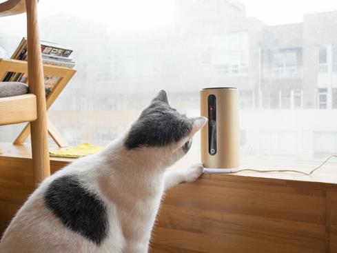 The PETKIT MATE lets you look in on your pets, talk to them, and entertain them with a remote-controlled laser game