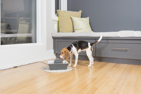 Running water encourages pets to drink more, which helps prevent kidney and urinary tract ailments.