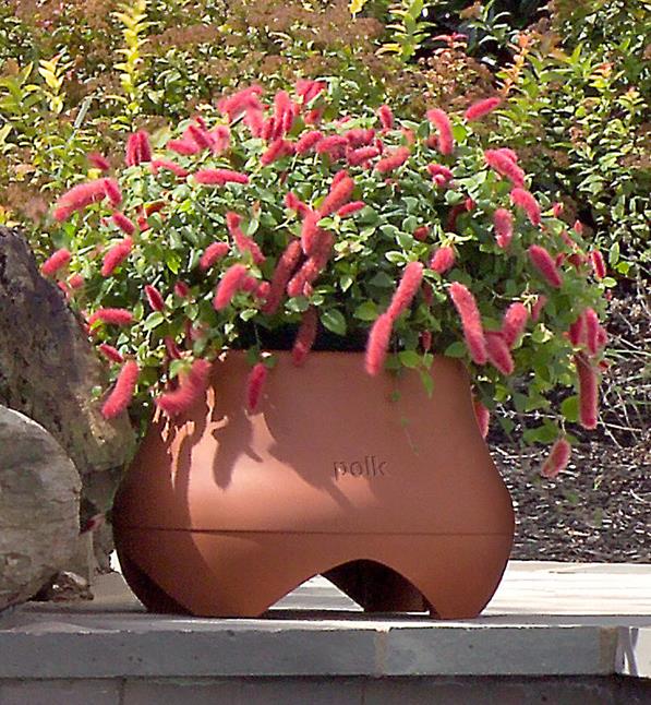 Polk outdoor subwoofer