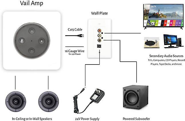 Vanguard Dynamics Vail Amp