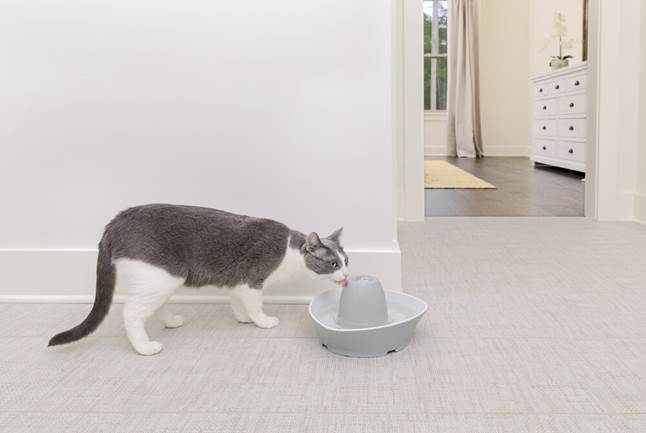Cat drinking from PetSafe Creekside Ceramic Pet Fountain
