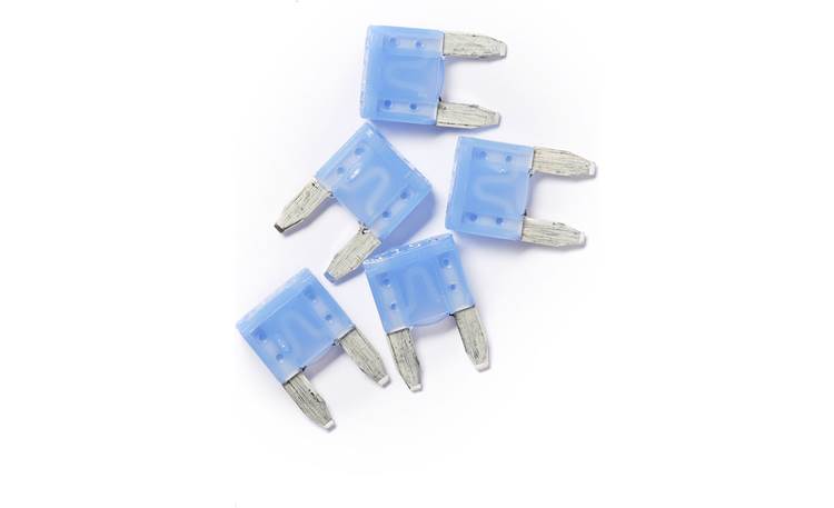 Littelfuse Mini® Blade-style Fuses Front