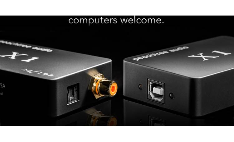 Peachtree Audio X1 Outputs and input