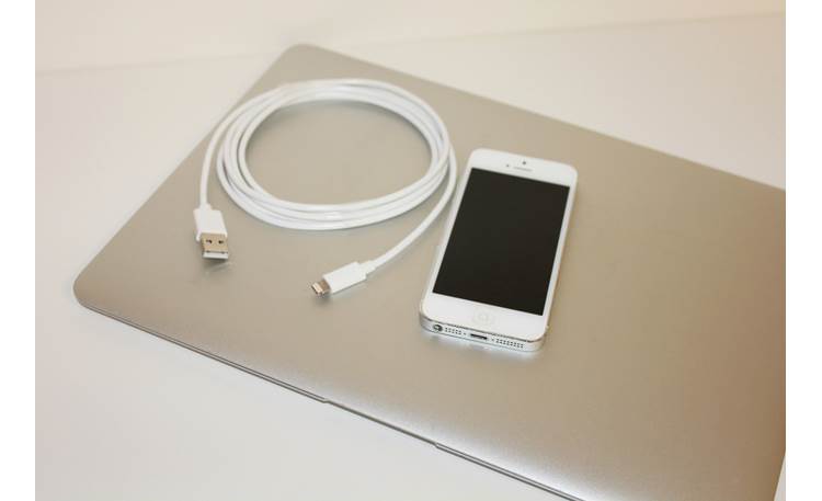 CableJive iBoltz XL (iPhone not included)