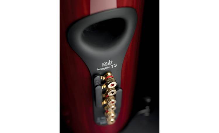 PSB Imagine T3 Closeup detail of tri-amp capable speaker terminals (High-gloss Cherry)