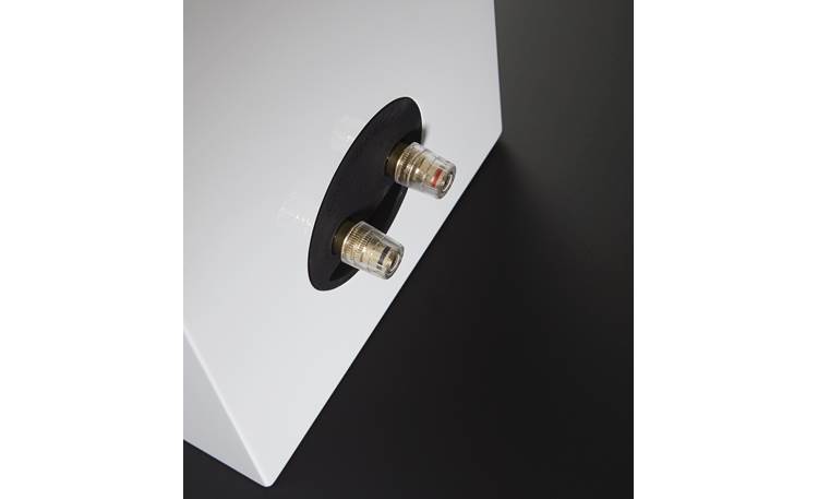 Cambridge Audio Aeromax 2 Audiophile-grade, gold-plated speaker terminal posts