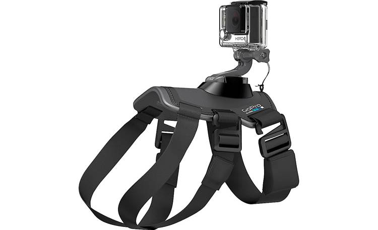 GoPro Fetch™ Dog Harness Other
