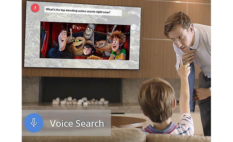 Sony XBR-55X850D Voice search feature on remote