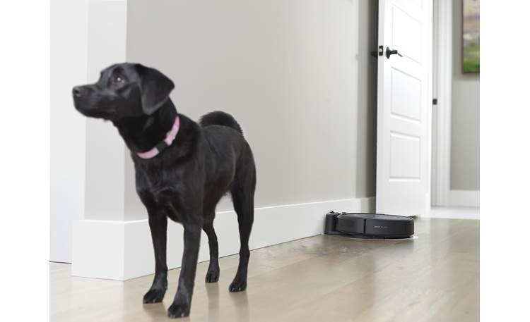 iRobot Roomba Combo™ i5 Pet shedding? Roomba Combo i5 to the rescue!