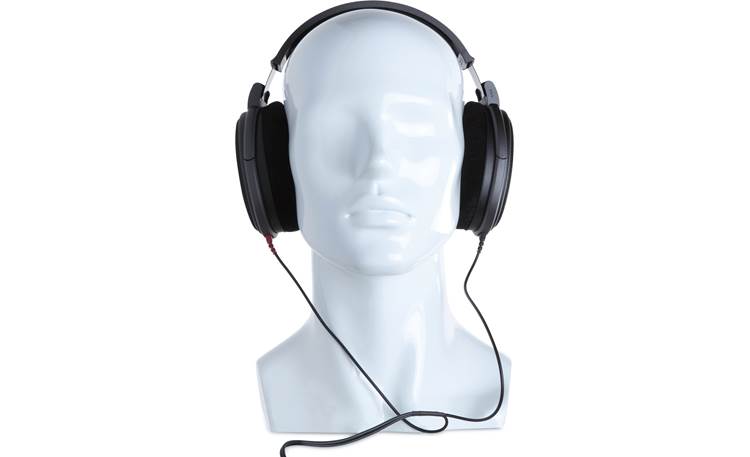 Sennheiser HD 600 Mannequin shown for fit and scale