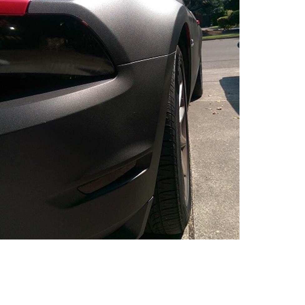 Ford Mustang Audio Radio Speaker Subwoofer Stereo