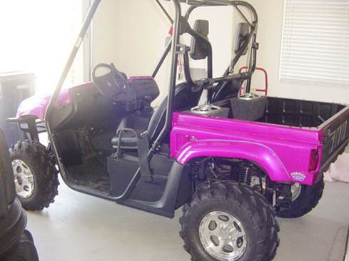 PINK 2006 Yamaha Rhino