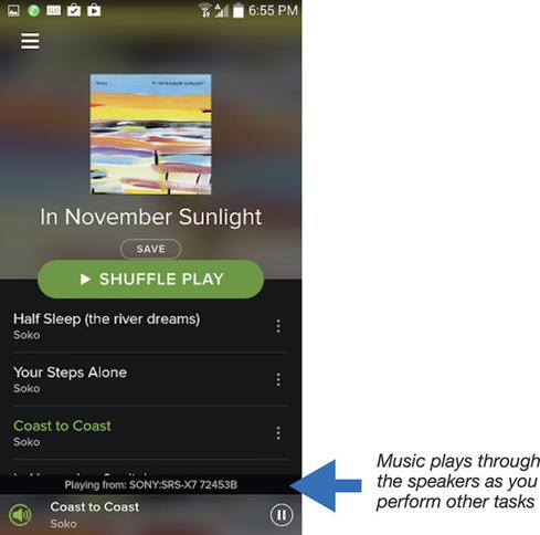 Screen shot of music playback on Spotify