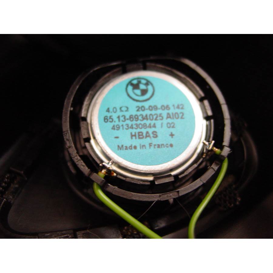 2010 BMW M3 Front door tweeter