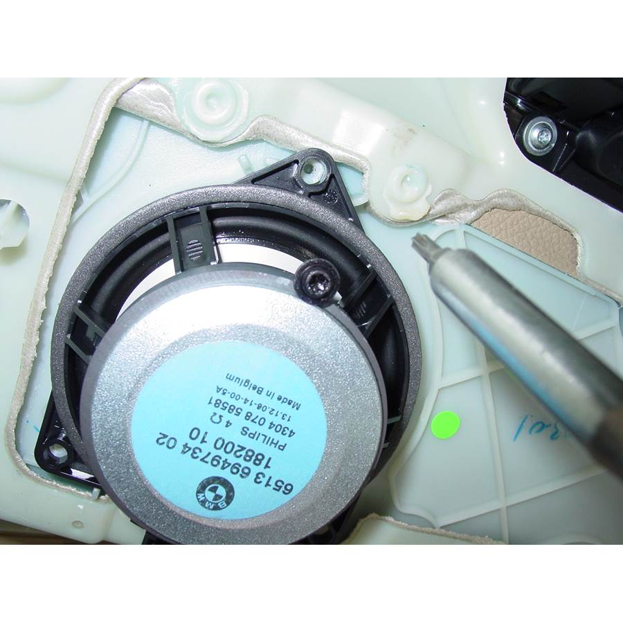 2008 BMW X5 Front door woofer
