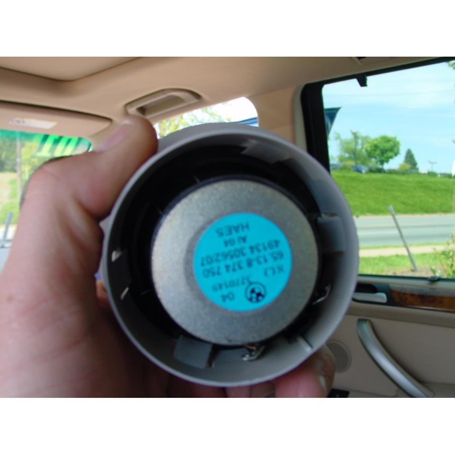 2001 BMW X5 Rear door tweeter