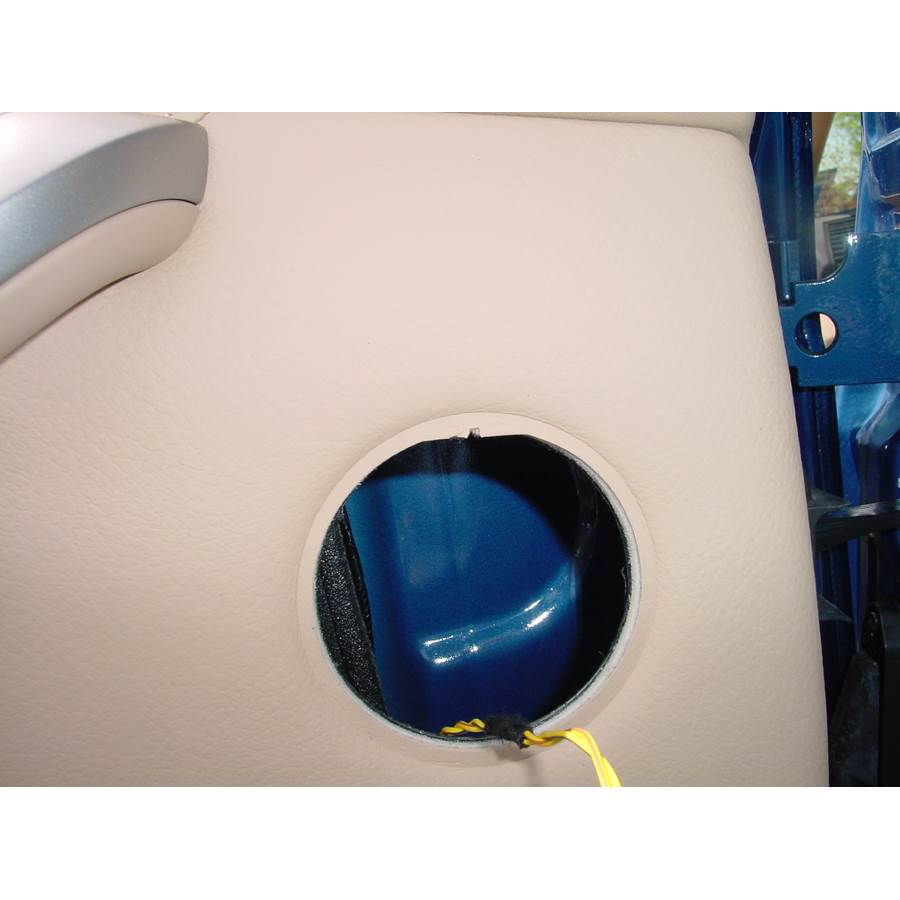 2003 BMW X5 Rear door tweeter removed