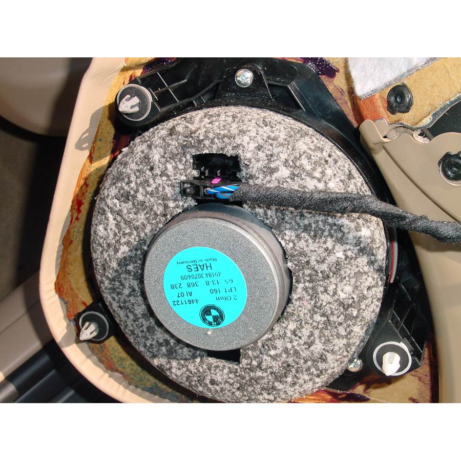 1999 BMW 3 Series Front door woofer