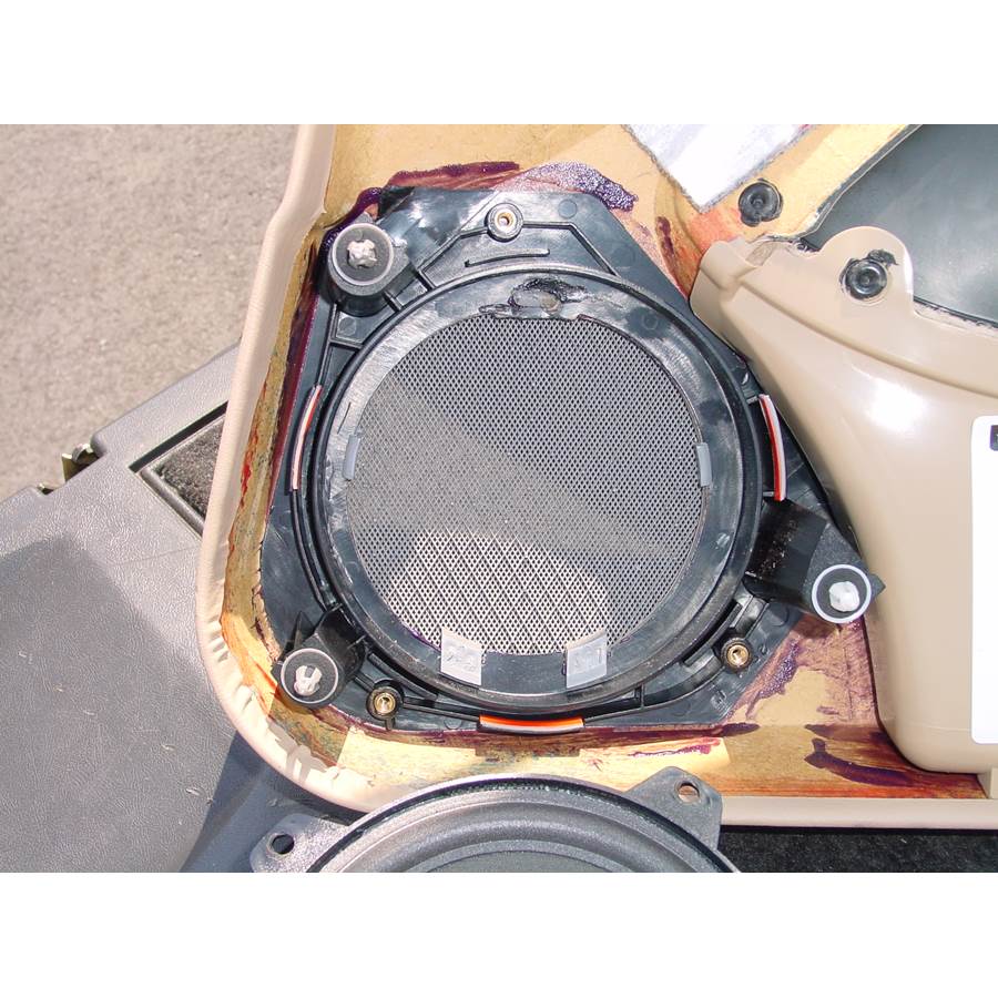 2004 BMW 3 Series Front door woofer removed