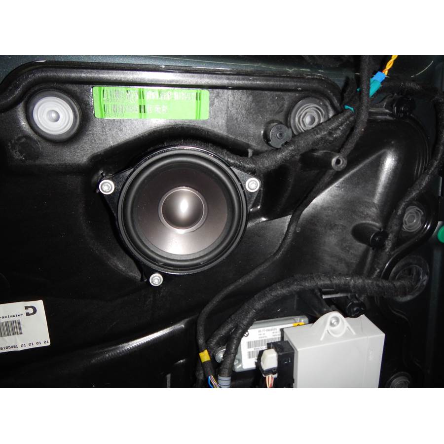 2002 BMW 7 Series Front door woofer