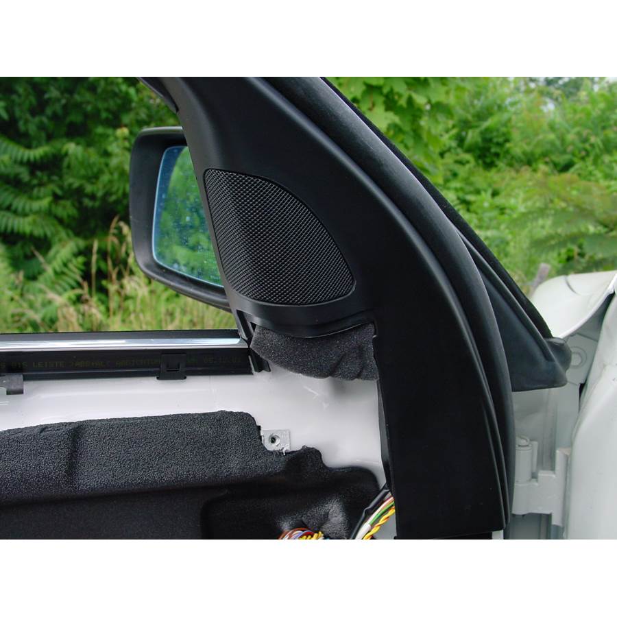 2002 BMW 5 Series Front door tweeter location