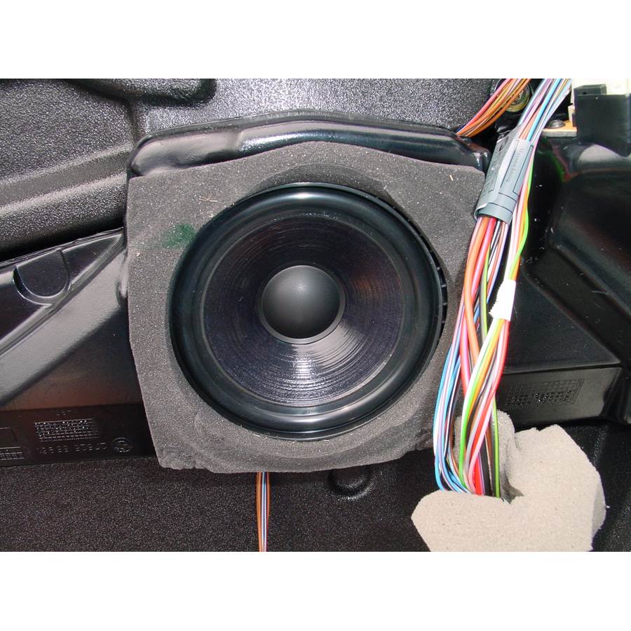 2003 BMW M5 Front door woofer