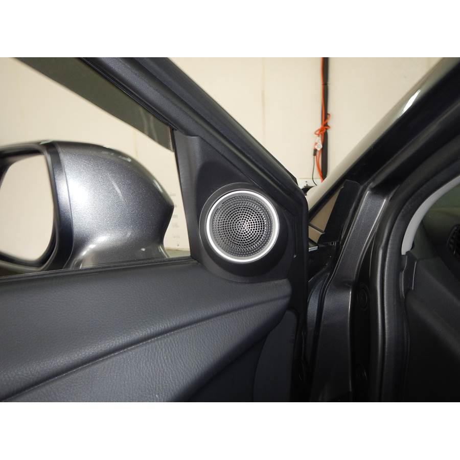 2010 Acura RDX Front door tweeter location