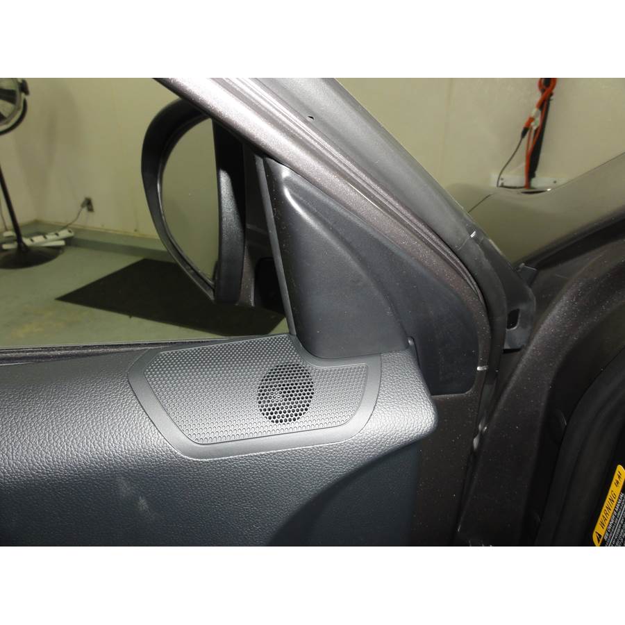 2011 Kia Sportage Front door tweeter location