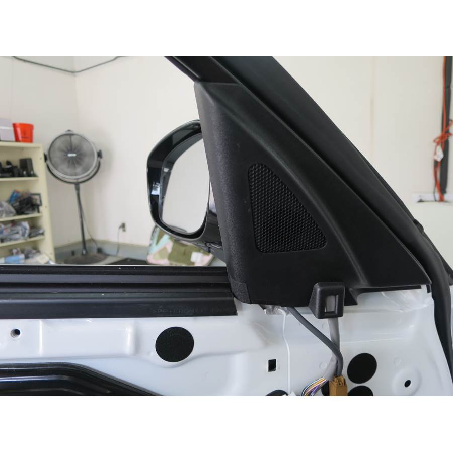 2010 Infiniti G37 Front door tweeter location