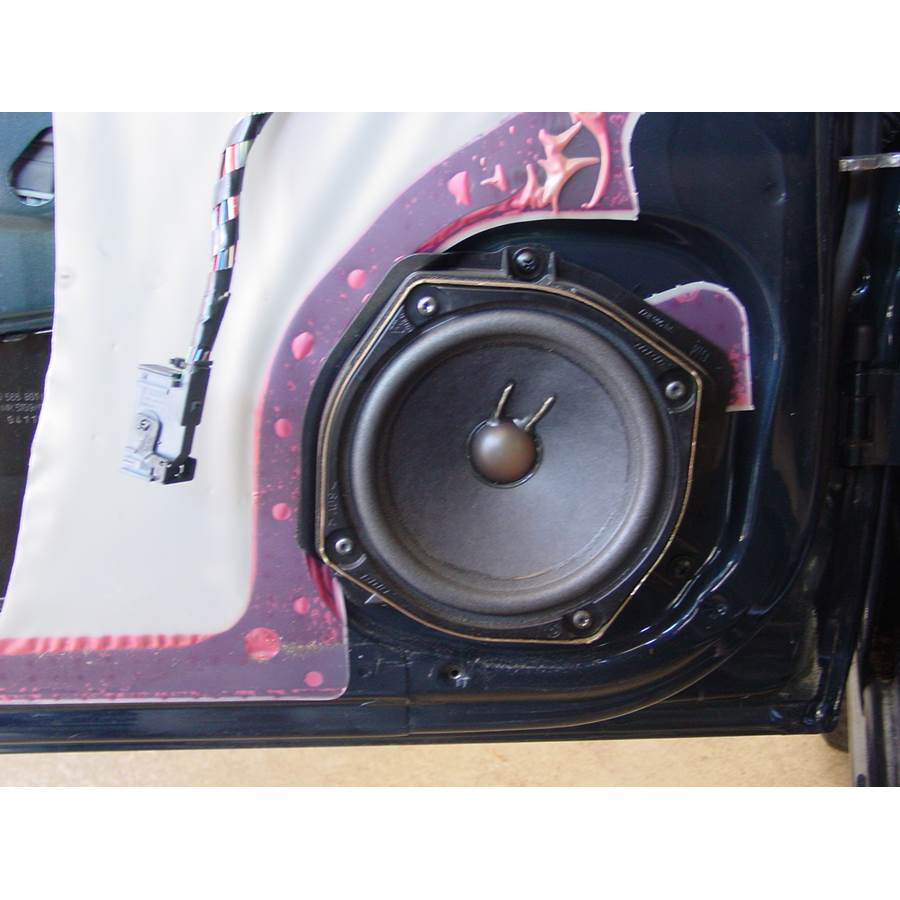 2001 Cadillac Catera Front door woofer