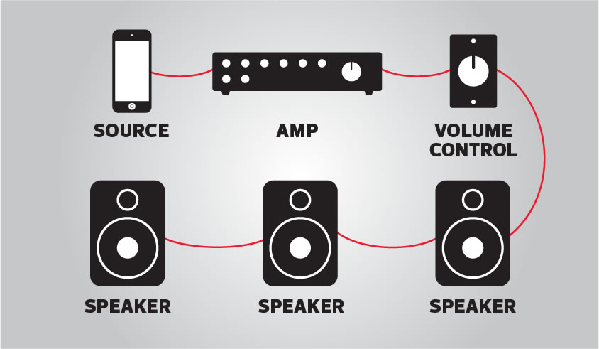 Components of a speaker hot sale system