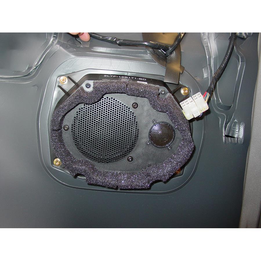 2005 Lincoln Navigator Front door woofer