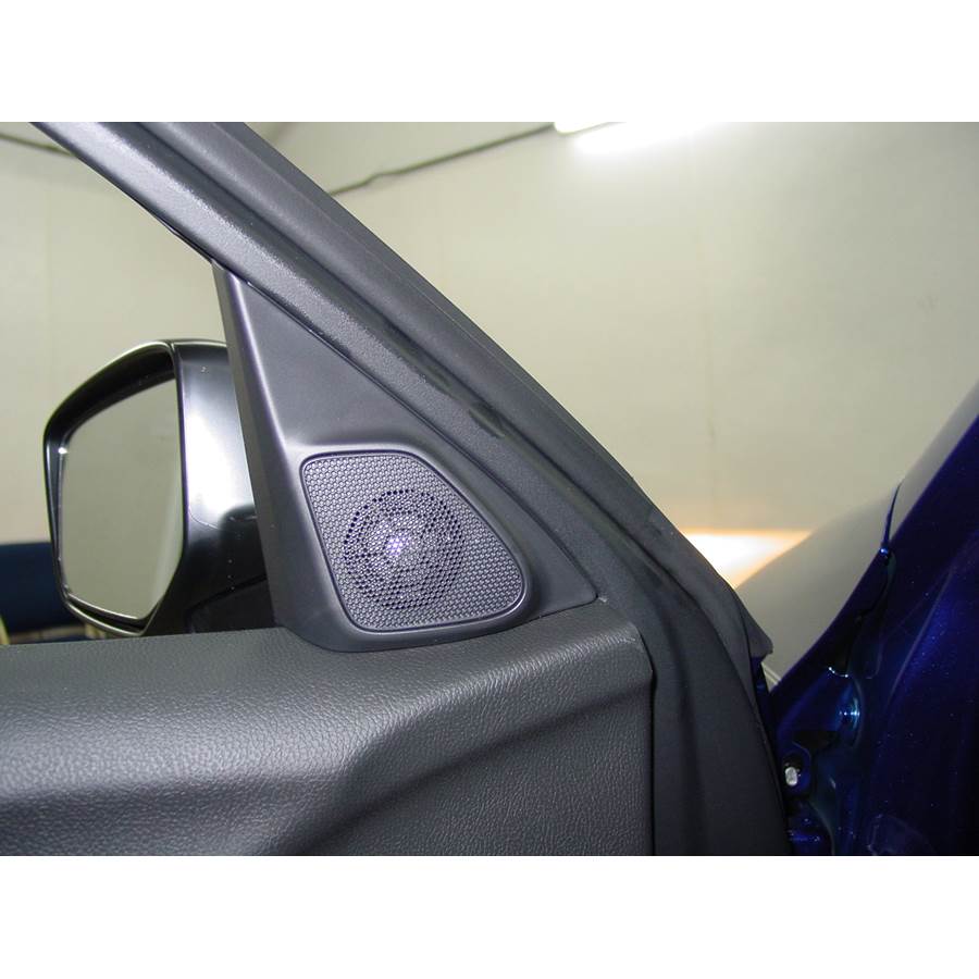 2010 Honda Accord Crosstour Front door tweeter location