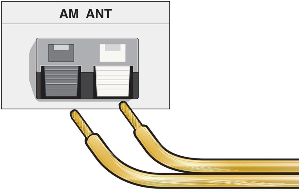 AM antenna input