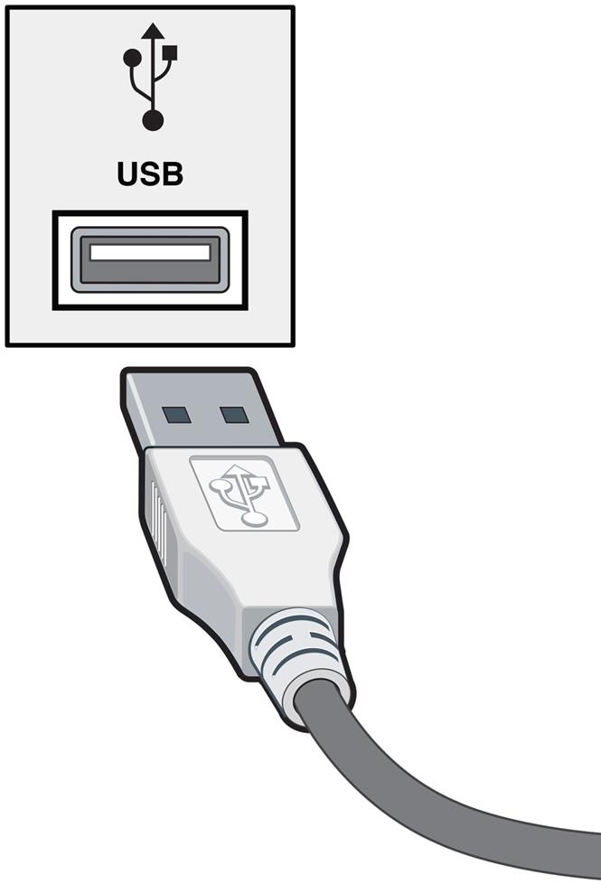 USB (Universal Serial Bus)