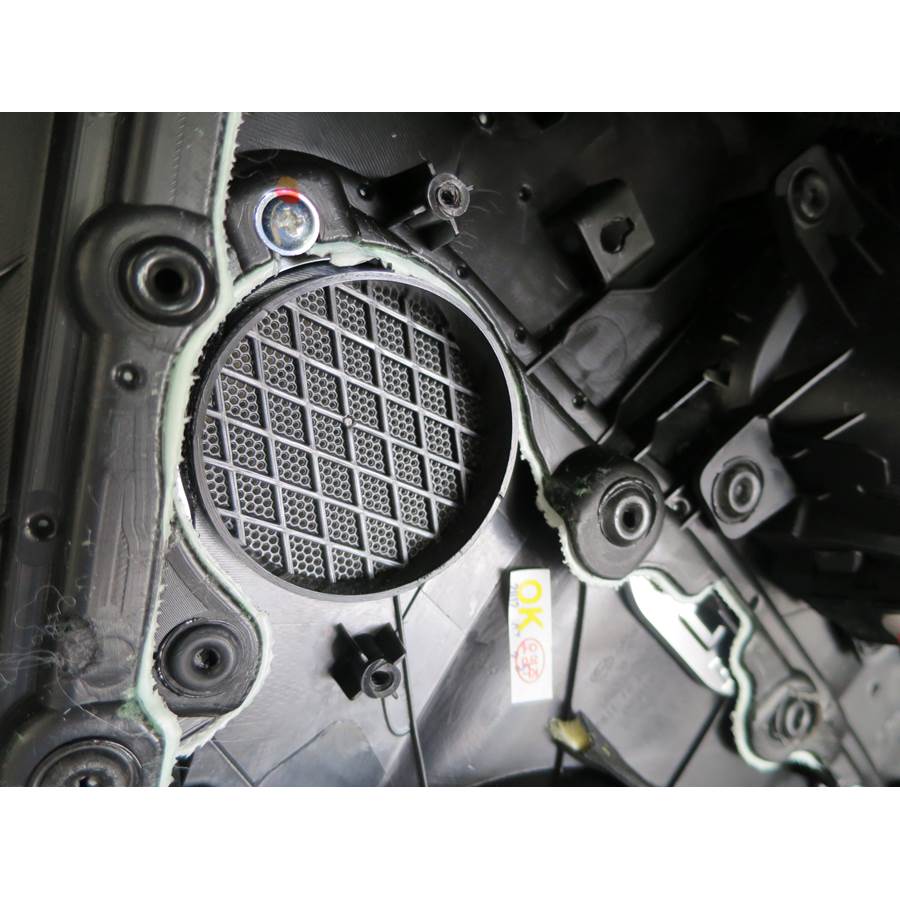 2015 Hyundai Equus Front door midrange removed
