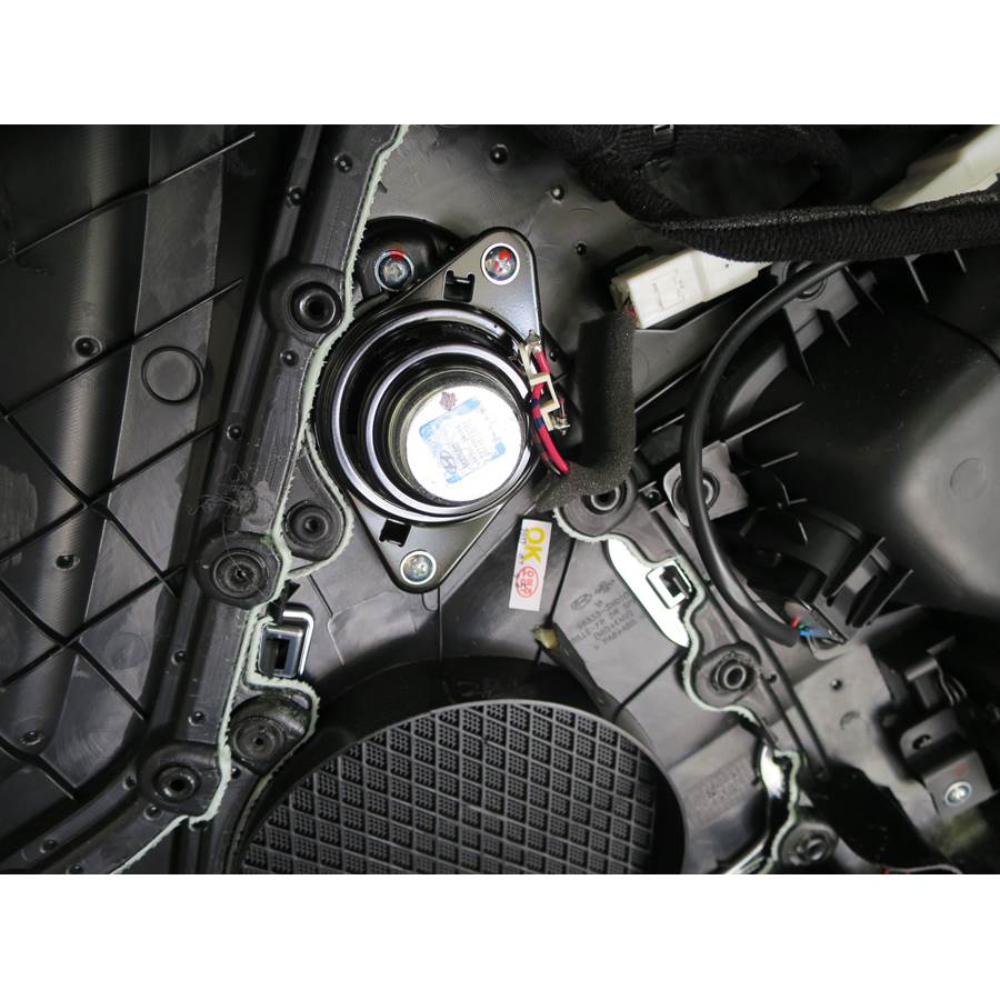 2015 Hyundai Equus Front door midrange