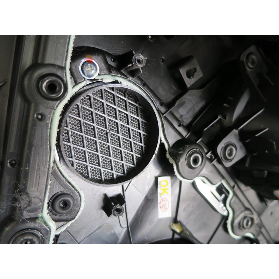 2016 Hyundai Equus Front door midrange removed