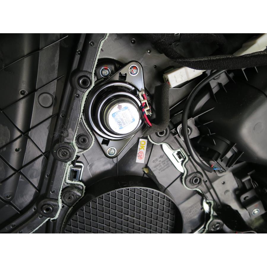 2016 Hyundai Equus Front door midrange