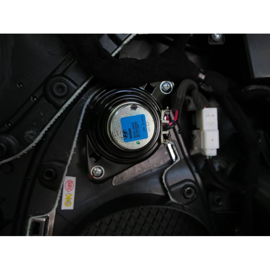 2015 Hyundai Equus Rear door tweeter