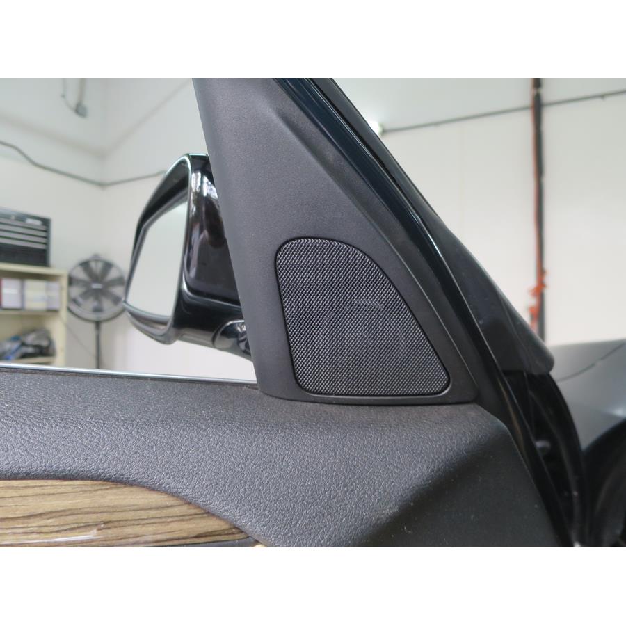 2015 BMW X1 Front door tweeter location