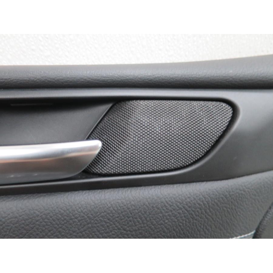 2016 BMW X3 Front door tweeter location