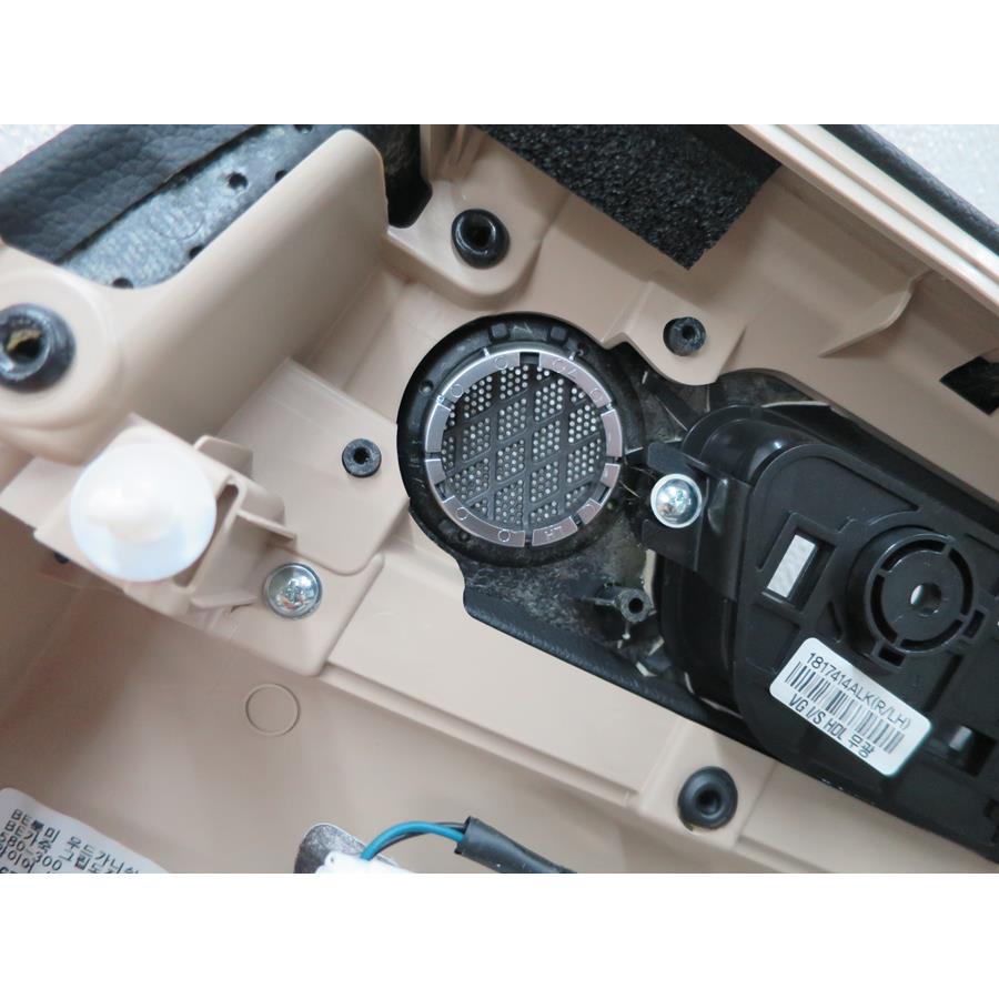 2014 Kia Cadenza Rear door tweeter removed
