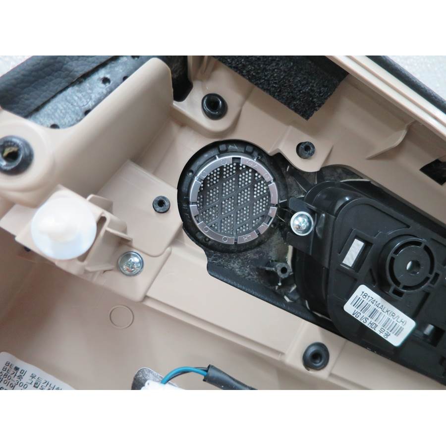 2015 Kia Cadenza Rear door tweeter removed