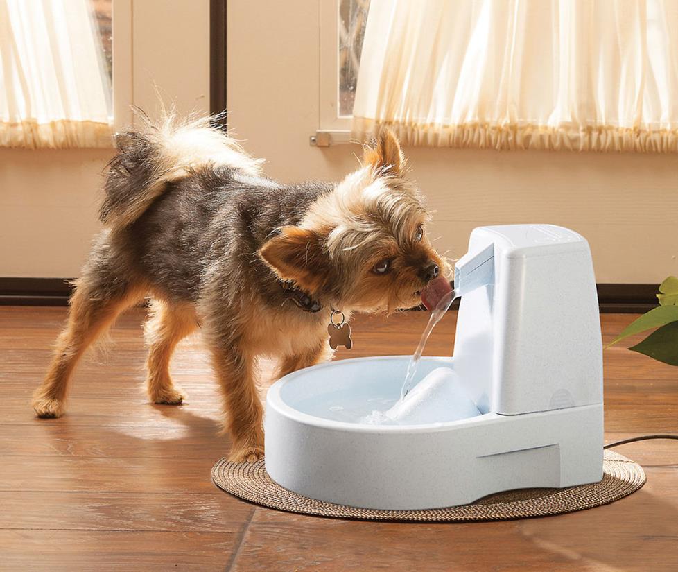 Dog drinking out of a Drinkwell water fountain.