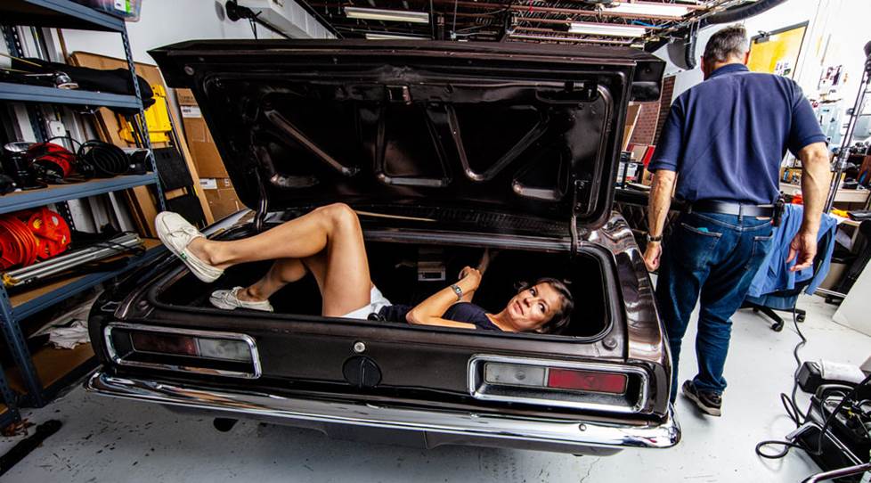 May in the trunk