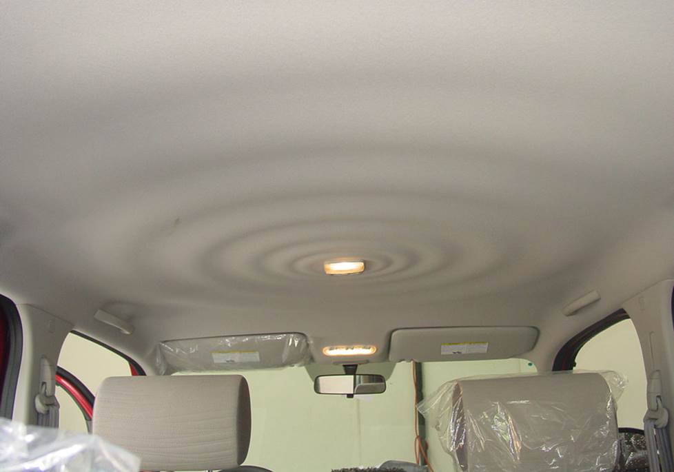 nissan cube ceiling